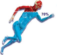 Body is made of 70% water